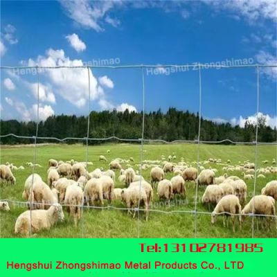 Grassland fence/Field Fence/Galvanized Steel Mesh/ stock fencing wire