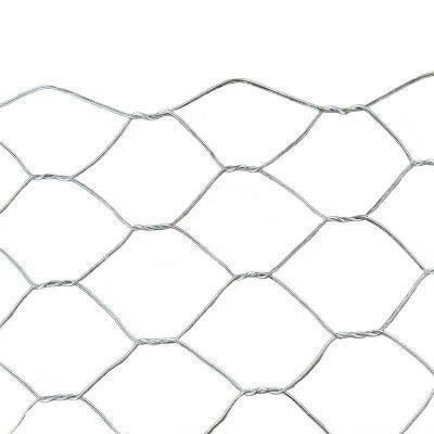 Factory Hot Dipped Galvanized Gabion Hexagonal Wire Netting