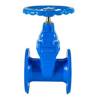 Non-Rised Resilient Seated Sluice Valve