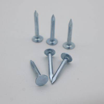 Factory-Direct Felt Clout Nails - Bulk Supply for Roofing Contractors photo-4