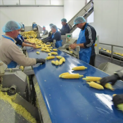 Sweet Cutter Mais-Kolbenentferner, Maisentkerner, Maisentwickler, Mais-Schäler, Maisdrescher-Maschine