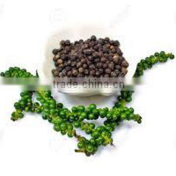 Black pepper