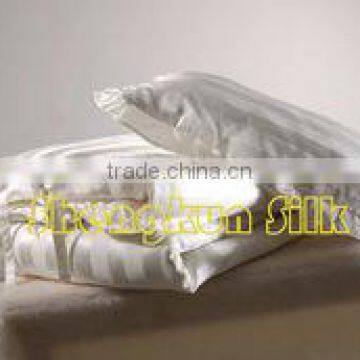 Natural Chinese Silk Pillow