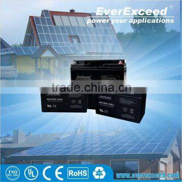 EverExceed MICRO GEL sealed lead acid battery