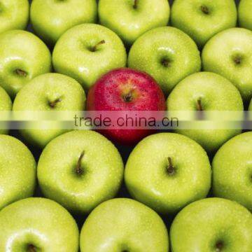 Professional Fruit Supplier Fresh Red Delicious Apple