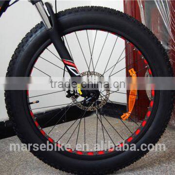 750W Fat Tire Snow Beach Electric Bike