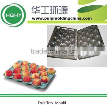 fruit tray mould egg tray mould