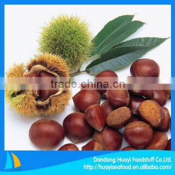 superior fresh frozen chestnut for sale