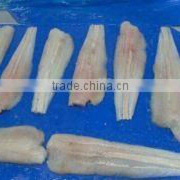 Frozen Pacific Hake Fillet