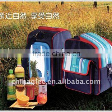 16L car refrigerator cooling and heating XT-1008A