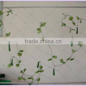 Agriculture Vegetable Trellis Netting