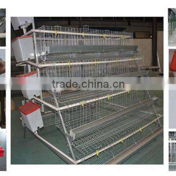 High quality automatic poultry cage 96 chicken layer cage price for farm