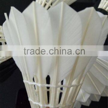 2PCS Sports Feather Birdies Badminton Shuttlecock for Training