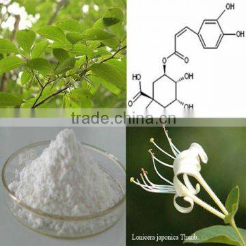 natural Chlorogenic acid CAS: 327-97-9