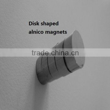 Alnico Magnet 10