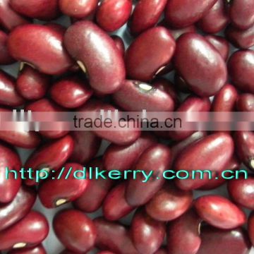 Small Red Kidney Beans