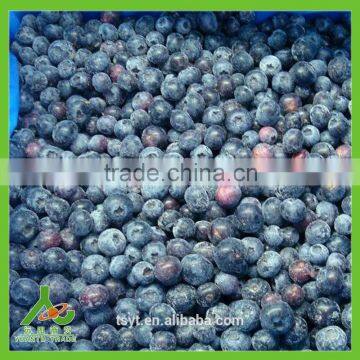 IQF Frozen Chinese China Best Quality Better Quality Wild Blueberry Blueberries photo-2