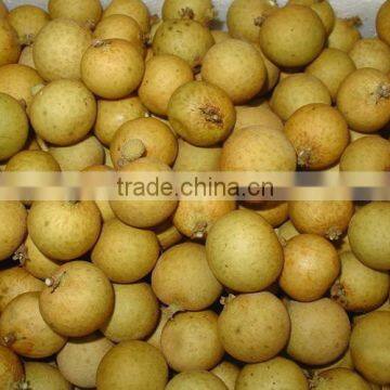 longan fruit trees