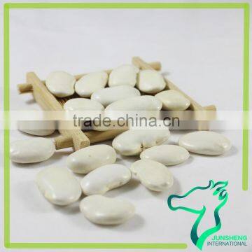 Large Type White Kidney Bean Origin In China 2016 New Crop photo-5