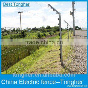 Whole Sale Tongher New ABS Material End Insulator Electric Fence Teminal End Strain Insulators