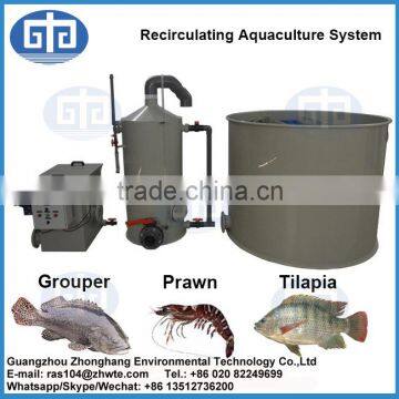 Aquaculture Equipment for Indoor Fish Farming System