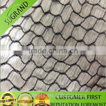 Anti Bird Netting for Canada Market photo-4