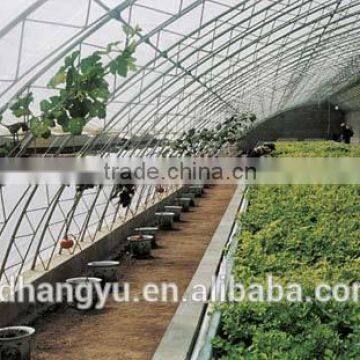 High Quality Mushroom Commercial Greenhouse photo-3
