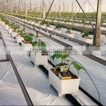 Hydroponics Greenhouse Multi Span Poly Film/PC Sheet photo-2