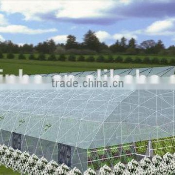 Hot dip galvanized steel structure skeleton plastic intelligent greenhouse