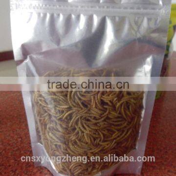 Import China Products Dried Mealworms Of Bird Food photo-2