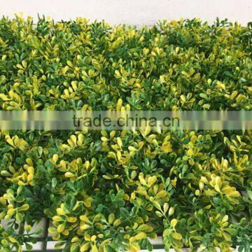 wholesale 40*60cm fake boxwood grass plastic artificial curtain home garden grass