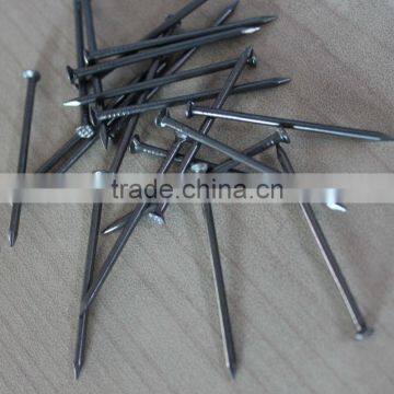Wood Nails/ Common Wire Nails Guangzhou photo-3