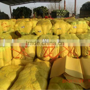 PP leno mesh bags export to Russia, China