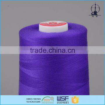 60s/2 18tex 180ticket High Tenacity Poly Polyester Core Spun Sewing Thread photo-6