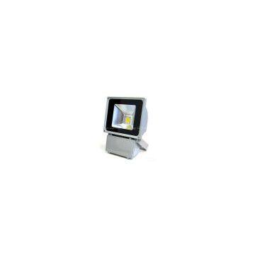 100W High Power LED Flood Light/Floodlight