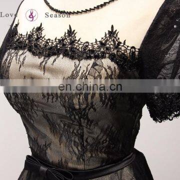 A17CL0027 Elegant Evening Gown for Weddings Lace See Through Simple Long Prom Dresses