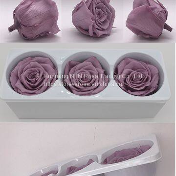 Beautiful Blue Rose for Floral Design Flowers Preservation for Anniversary Decoration photo-2