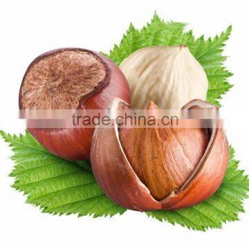 Organic hazelnut kernel