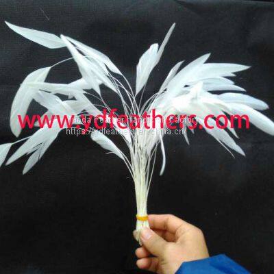 Stripped Rooster/Coque/Cock Tail Feather Natural White From China photo-2