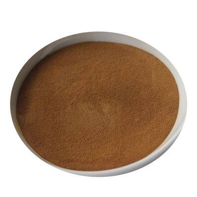 Sodium Lignosulfonate/Sodium Lignosulphonate Used as Concrete Water Reducing Admixture/Dispersing/Adhesive/Refractories