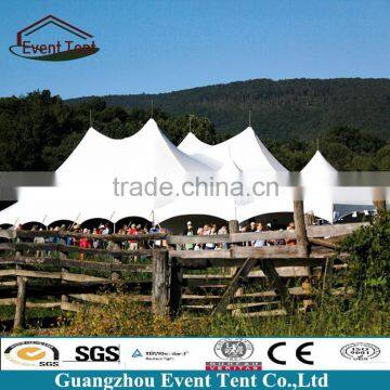 New style cleap PVC coated polyester 60x90 peg tent for storage