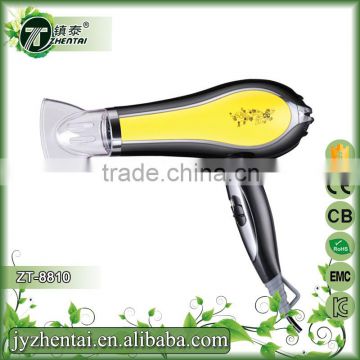 Water Transfer Printing Pro Hair Dryers