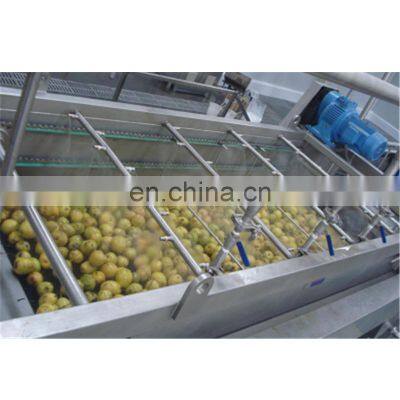 Automatic High Quality Prickly Pear Juice Production Line photo-5