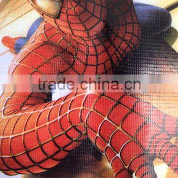 Eco Solvent Printer photo-5