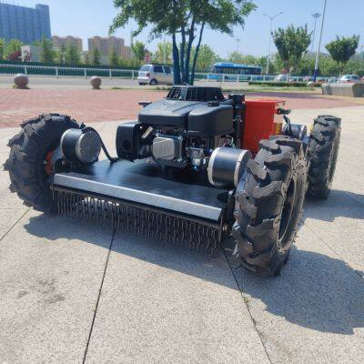 Cortador de grama Chinês Mini Cortador de Grama Cortador de Herba a Gasolina Grau de Trabalho 35° Euro 5/EPA Cortador Empurrado Vigorun Tech