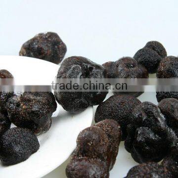 Wild Black Truffle From Yunnan photo-4