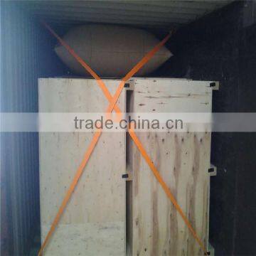 Loading Damage Prevention AAR Verified container air dunnage bag