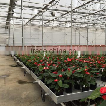 hot sale galvanized commercial hybrid greenhouse                        
                                                Quality Choice