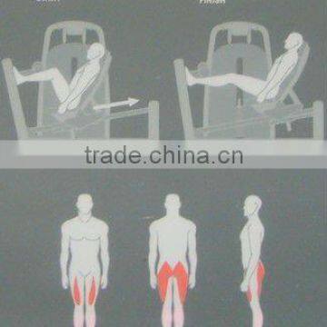 TZ-6016 Fitness Equipment / Leg Press Machine /Horizontal Leg Press photo-4