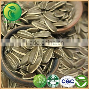 Sunflower Seeds Bulk Vegetable Oil